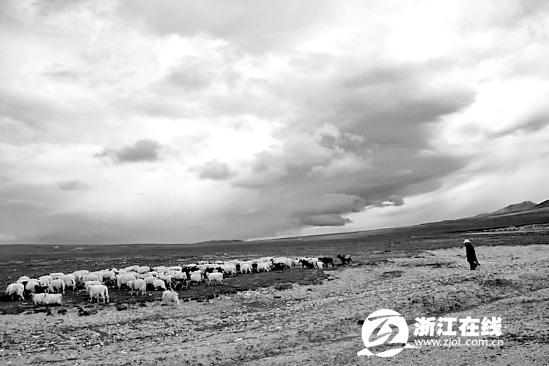“盛開的白天使”曾經(jīng)蹲點(diǎn)一個星期，就為拍這些云