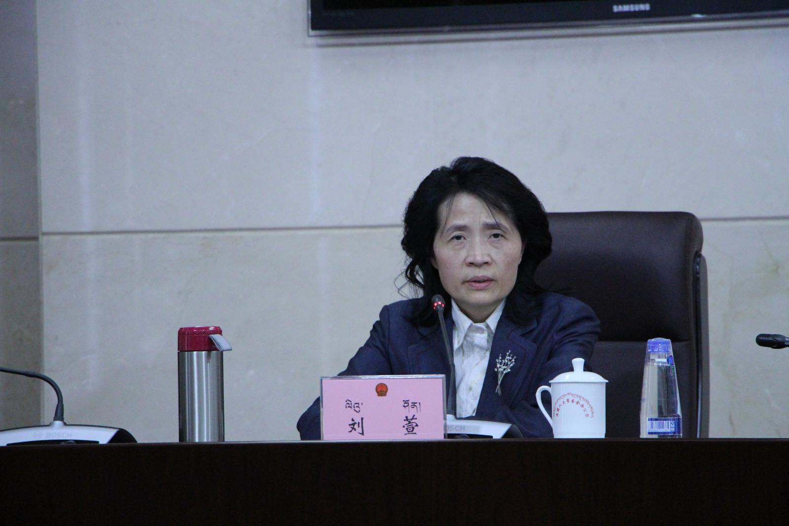 西藏自治區(qū)政府副秘書長、政府新聞發(fā)言人 劉萱.JPG