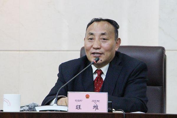 新聞發(fā)言人：西藏自治區(qū)教育督導(dǎo)委員會(huì)常務(wù)副主任旺堆.jpg