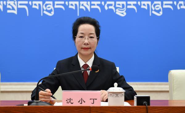 沈小丁 區(qū)檢院檢察委員會專職委員、二級高級檢察官、新聞發(fā)言人..JPG