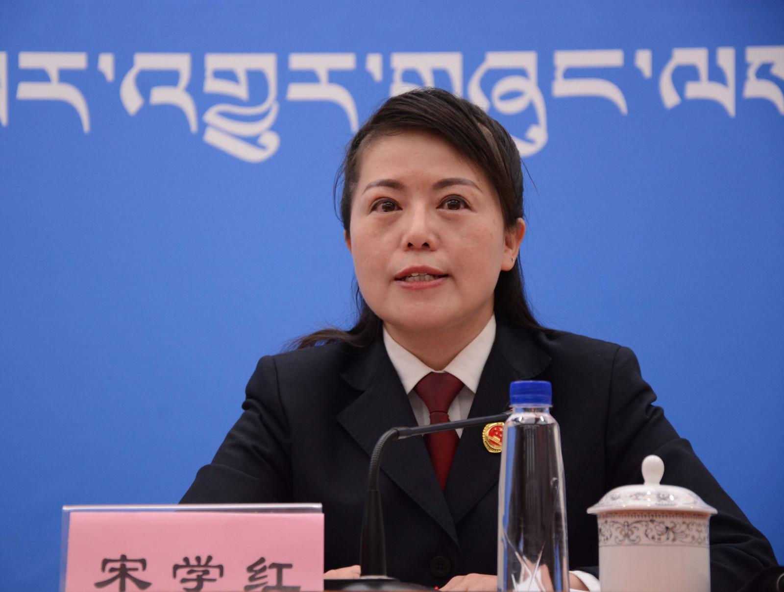 新聞發(fā)言人：自治區(qū)檢察院第九檢查部副主任、四級高級檢察官 宋學紅.JPG