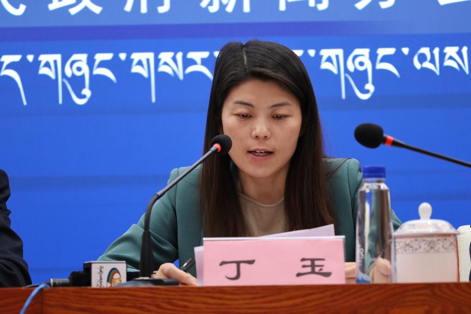 新聞發(fā)言人：區(qū)發(fā)改委黨組成員、主任助理 丁玉.JPG