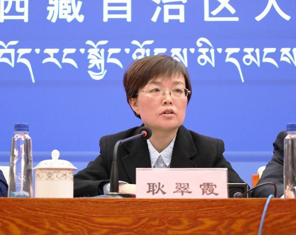 新聞發(fā)言人：區(qū)政府國(guó)資委副主任 耿翠霞1.jpg
