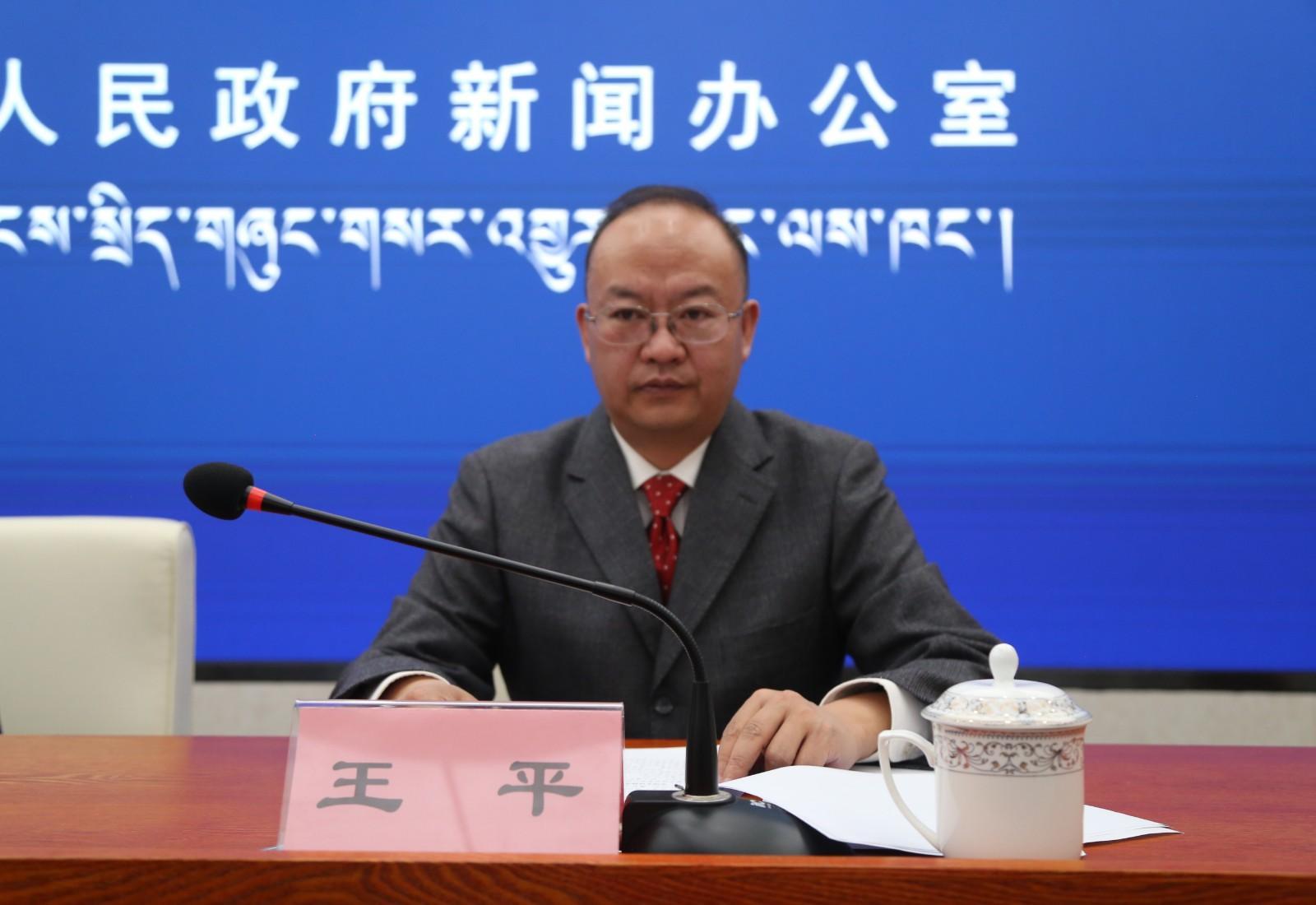 王平   西藏自治區(qū)統(tǒng)計(jì)局綜合處處長.jpg