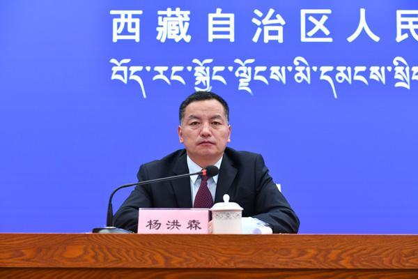 主持人：區(qū)黨委宣傳部對(duì)外傳播處處長(zhǎng) 楊洪森.jpg