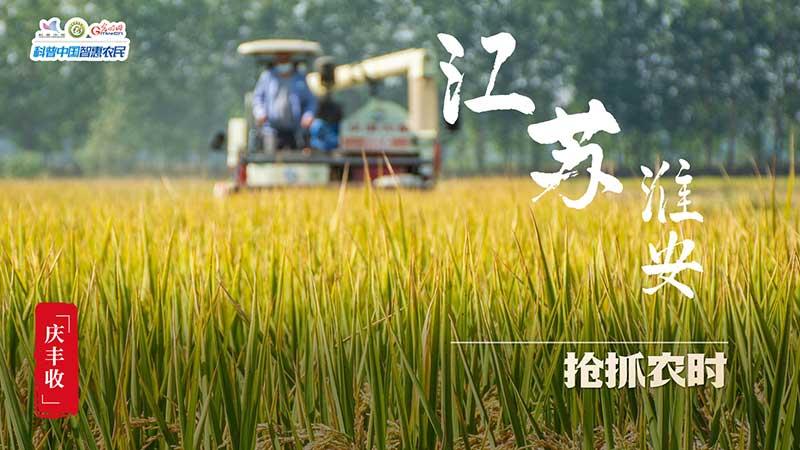 豐收進行時|全國秋收進度超六成 “糧”辰美景豐收忙