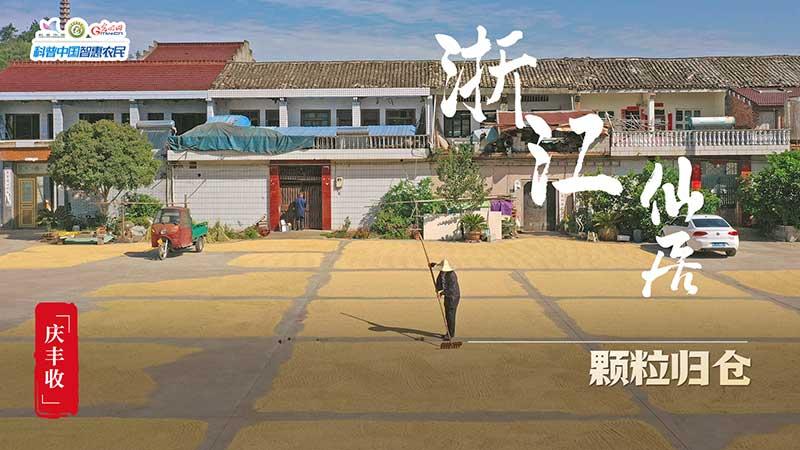 豐收進行時|全國秋收進度超六成 “糧”辰美景豐收忙