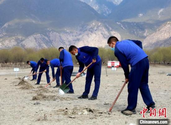 林芝市巴宜區(qū)森林消防中隊志愿服務(wù)隊正在揮鍬鏟土。　西繞拉翁 攝