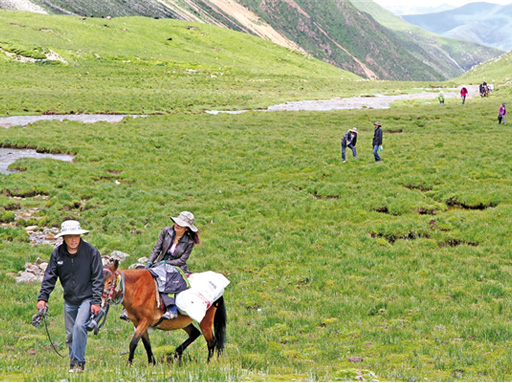 甲瑪鄉(xiāng)全域旅游等你來