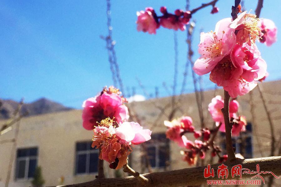 點(diǎn)擊進(jìn)入下一頁