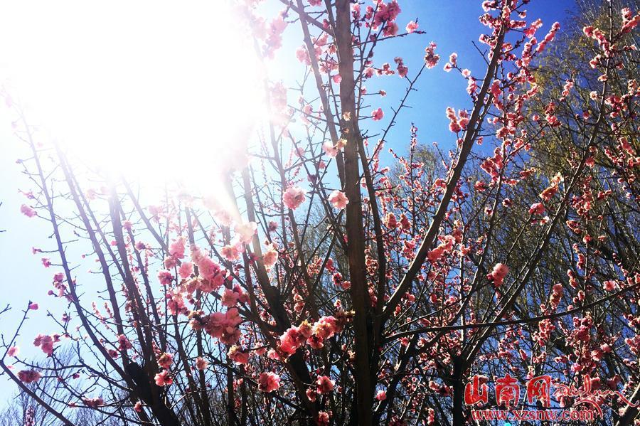 點(diǎn)擊進(jìn)入下一頁