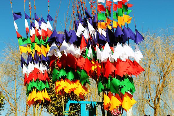 圖為：縫制好的五彩經(jīng)幡樹。曲杰  攝.jpg